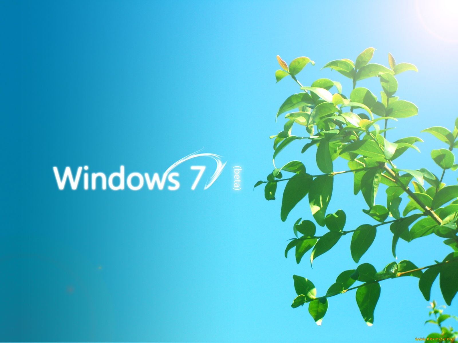 , windows, vienna